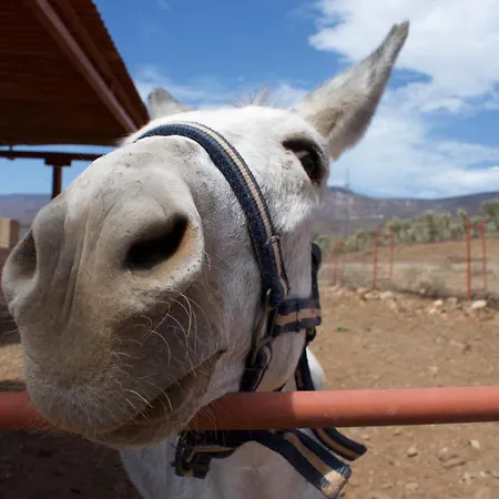 Buganvilla Дом отдыха *