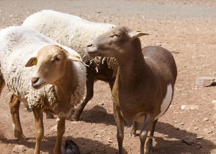 Prázdninový dům Buganvilla